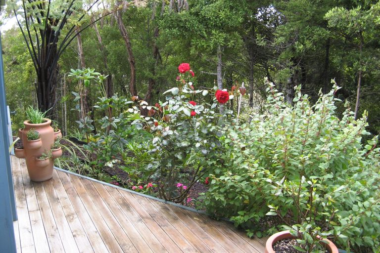 Photo of property in 16 Hihitahi Rise, Paihia, 0200