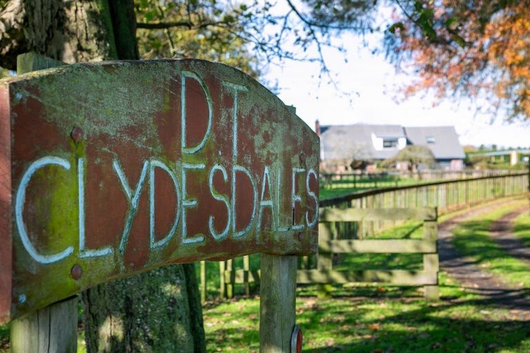 Photo of property in 93 Duncan Road, Tamahere, Hamilton, 3283