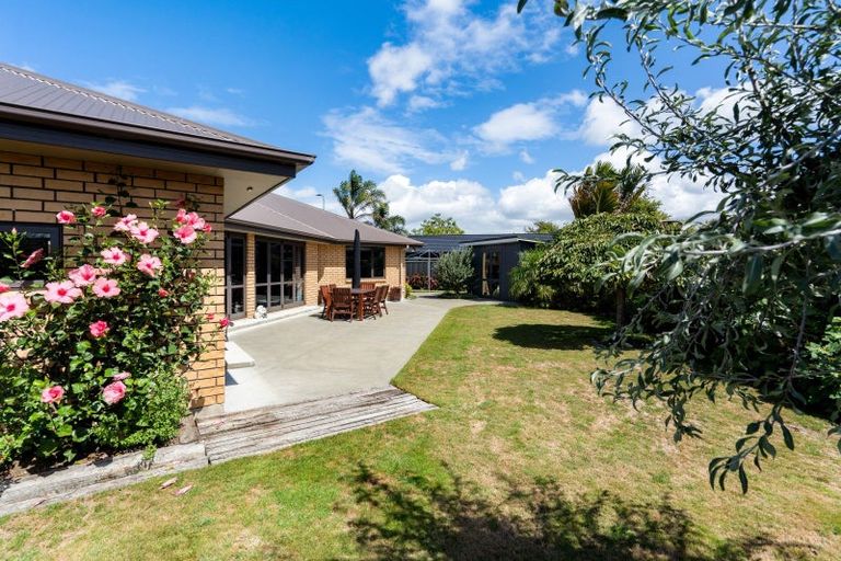 Photo of property in 17 Northwood Avenue, Mahora, Hastings, 4120