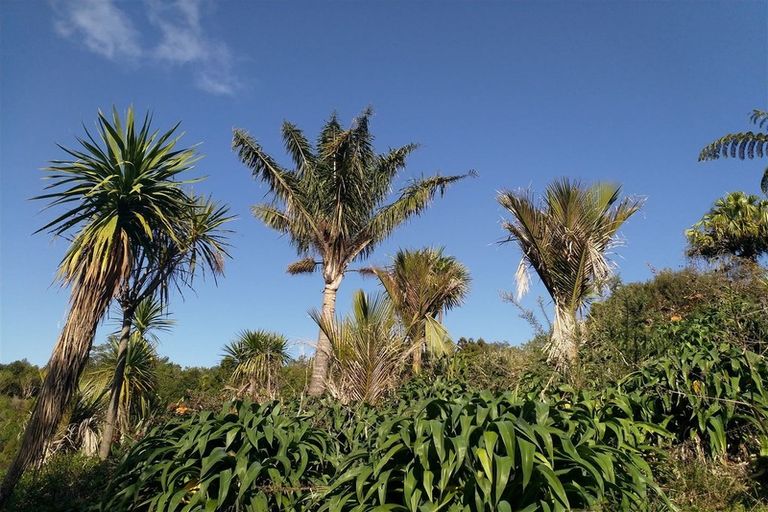 Photo of property in 75a Cottle Hill Drive, Kerikeri, 0293