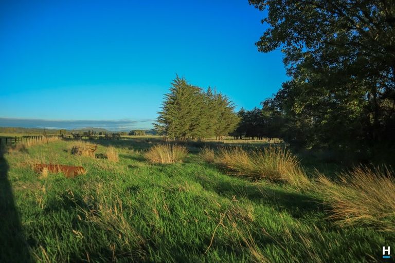 Photo of property in 829 Nelson Creek Road, Hochstetter, Dobson, 7872