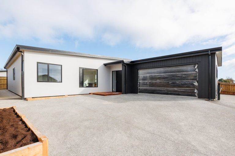 Photo of property in 47 Ashford Avenue, Hokowhitu, Palmerston North, 4410