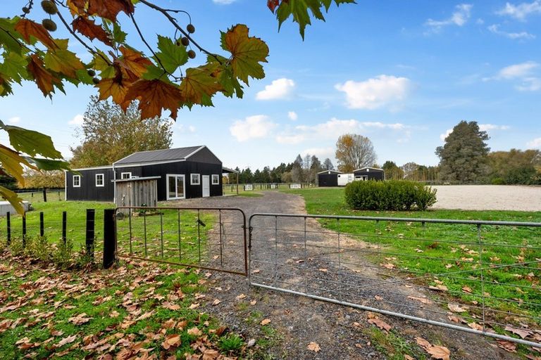 Photo of property in 357c Hautapu Road, Tamahere, Hamilton, 3283