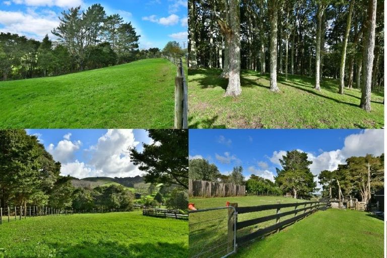 Photo of property in 202 Rapson Road, Kaukapakapa, 0871
