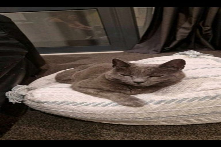 Photo of property in 51a Wellington Road, Paekakariki, 5034