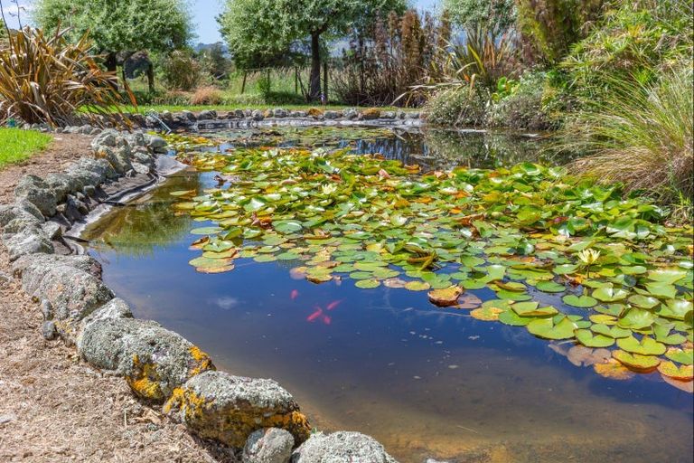 Photo of property in 23 Lindsay Road, Levin, 5510