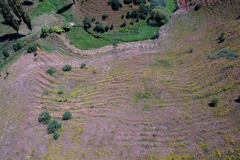 Photo of property in 456 O'shea Road, Pirongia, Te Awamutu, 3876