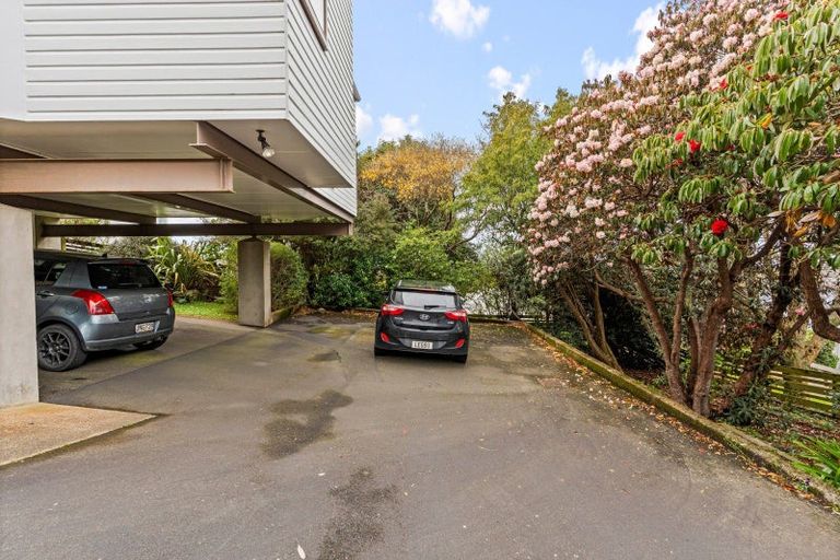 Photo of property in 16 Napier Street, Belleknowes, Dunedin, 9011