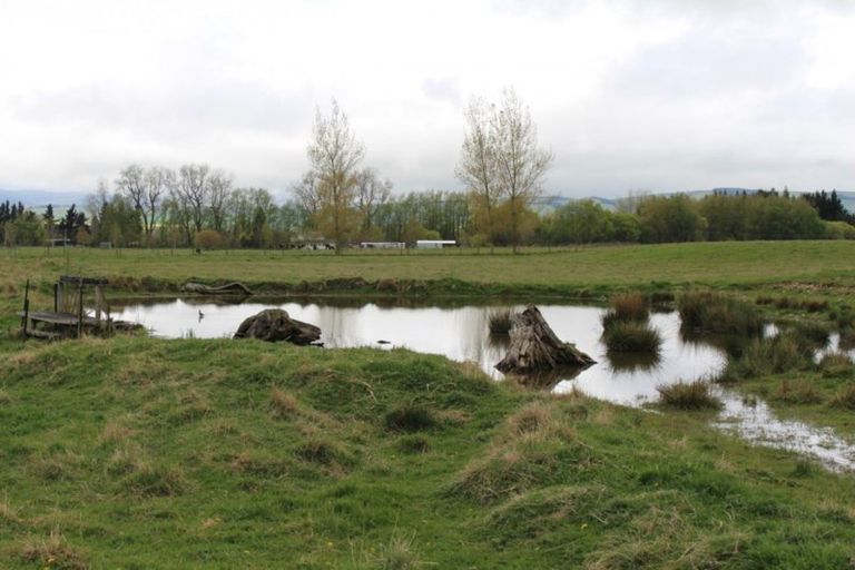 Photo of property in 141 Nixons Road, Fairlie, 7987