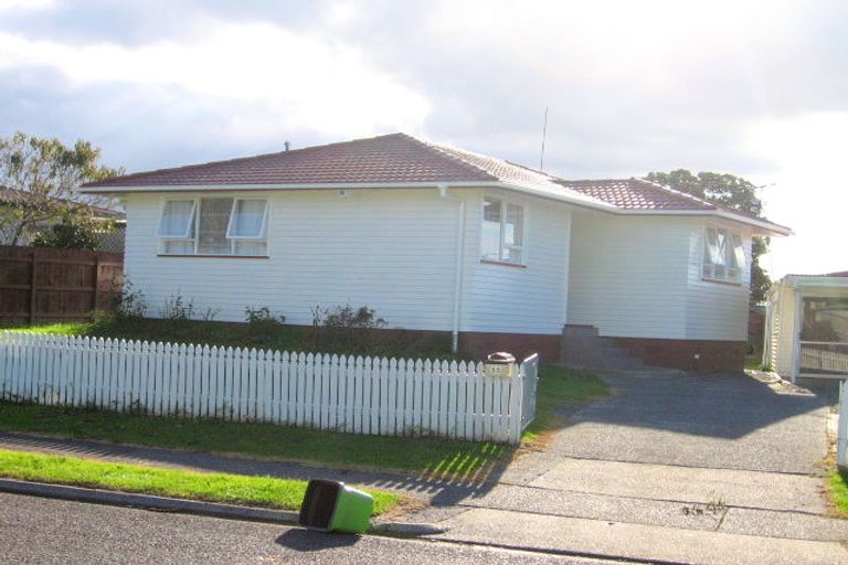 Photo of property in 55 Zelda Avenue, Clover Park, Auckland, 2023