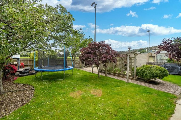 Photo of property in 239 Macandrew Road, Forbury, Dunedin, 9012