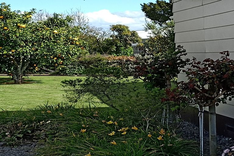 Photo of property in 12 Gummer Place, Morrinsville, 3300