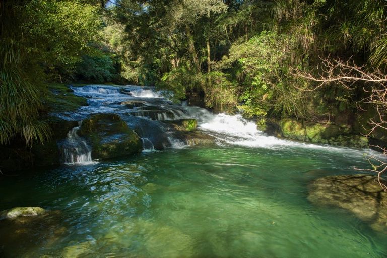 Photo of property in 101 Ross Road, Whakamarama, Tauranga, 3179