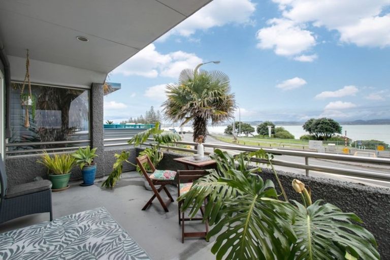 Photo of property in 7 Breakwater Road, Bluff Hill, Napier, 4110