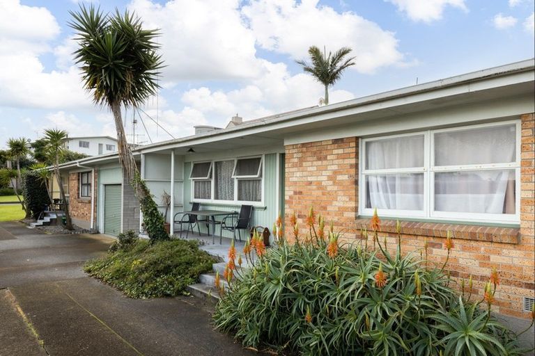 Photo of property in 22 Terrace Avenue, Mount Maunganui, 3116