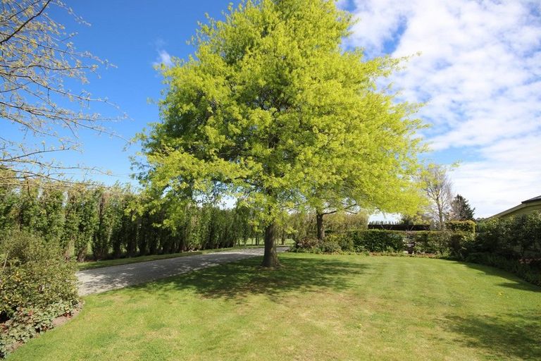 Photo of property in 66 Carters Terrace, Tinwald, Ashburton, 7700