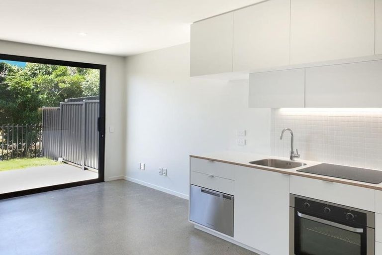 Photo of property in 41 Te Ara O Paetutu, Petone, Lower Hutt, 5012