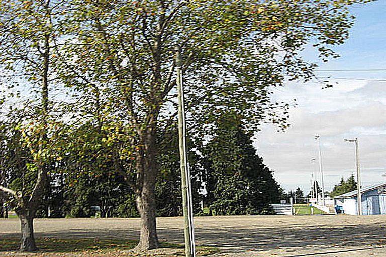 Photo of property in 13 Wall Street, Waimate, 7924