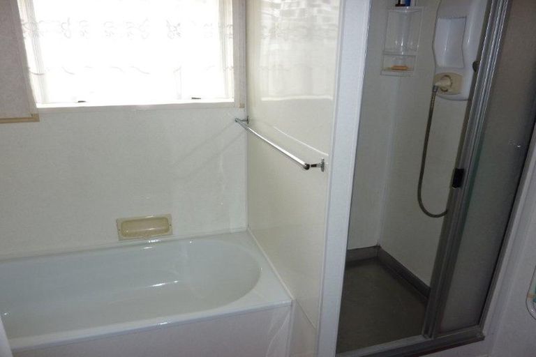 Photo of property in 176b Ruahine Street, Roslyn, Palmerston North, 4414