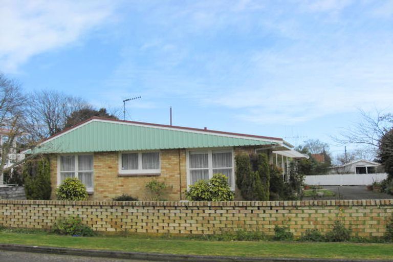 Photo of property in 18 Clark Street, Levin, 5510