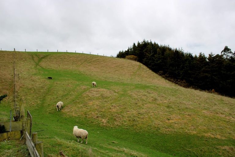 Photo of property in 20 Old Port Road, Warepa, Balclutha, 9273