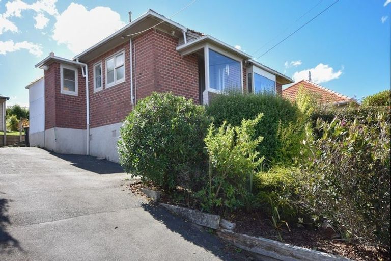 Photo of property in 49 Greenhill Avenue, Wakari, Dunedin, 9010