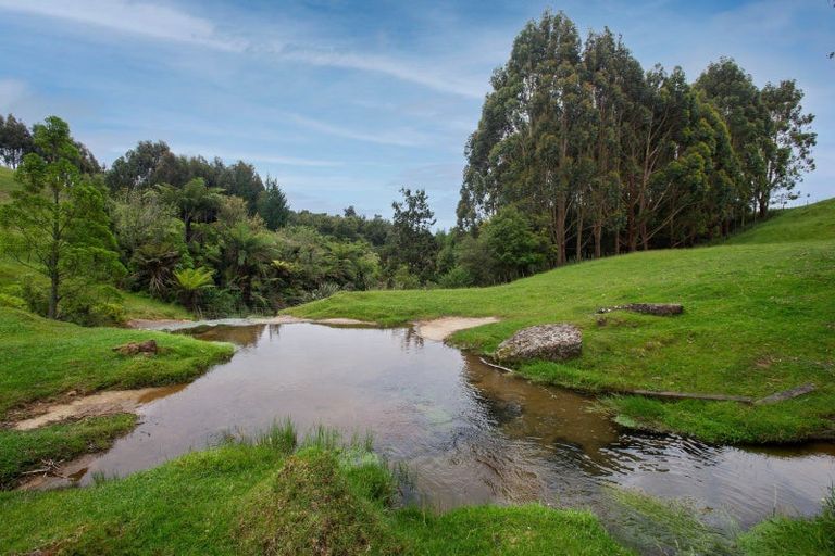 Photo of property in 775 Whakamarama Road, Whakamarama, Tauranga, 3179