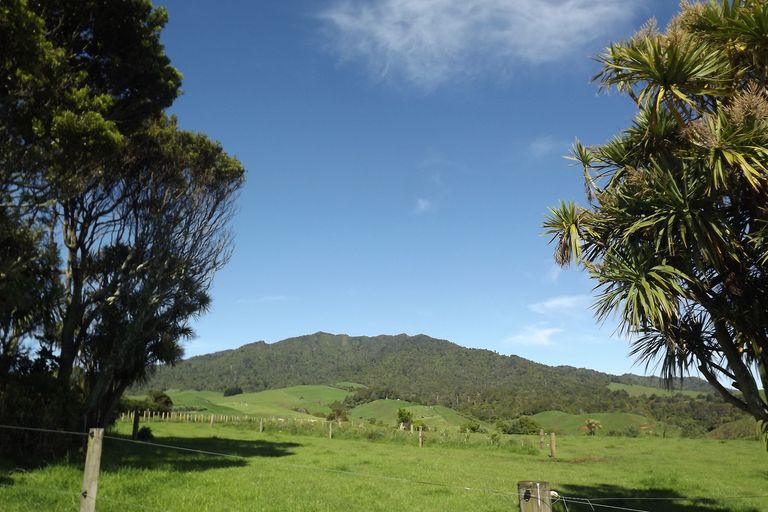 Photo of property in 669b Te Hutewai Road, Raglan, 3296