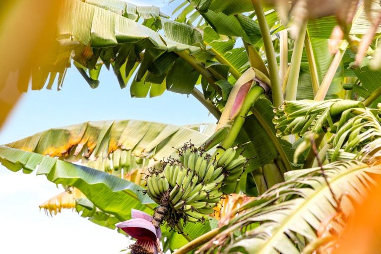 Photo of property in 27 Waimanu Place, Point Wells, Warkworth, 0986