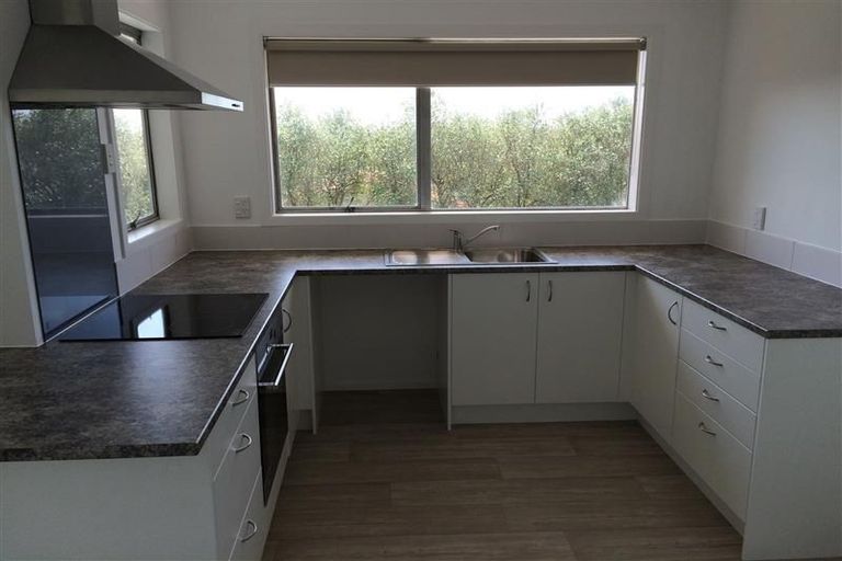 Photo of property in 14 Counsel Terrace, Mount Albert, Auckland, 1025