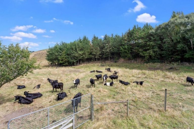 Photo of property in 1013 Glenmark Drive, Waipara, Amberley, 7483