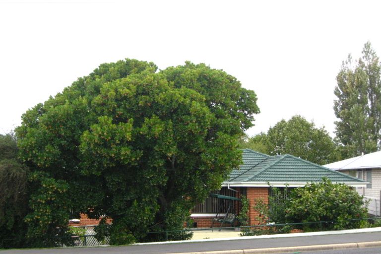 Photo of property in 153 Main Road, Fairfield, Dunedin, 9018