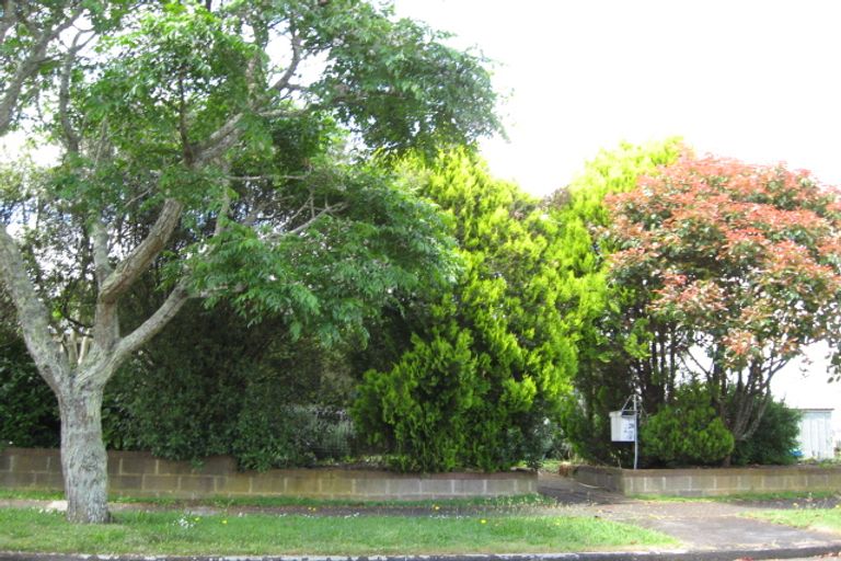 Photo of property in 16 Fairfield Street, Pukekohe, 2120
