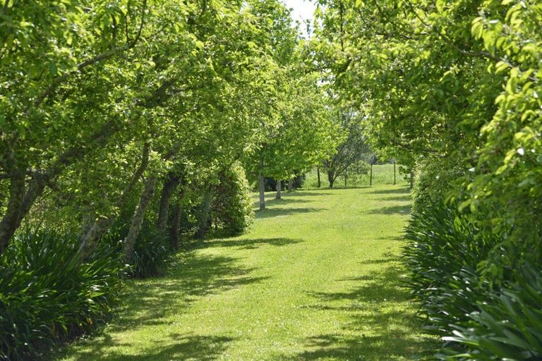 Photo of property in 145 Park Road, Carterton, 5713