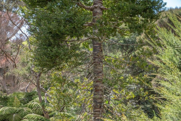 Photo of property in 9 Amelie Place, Coopers Beach, 0420