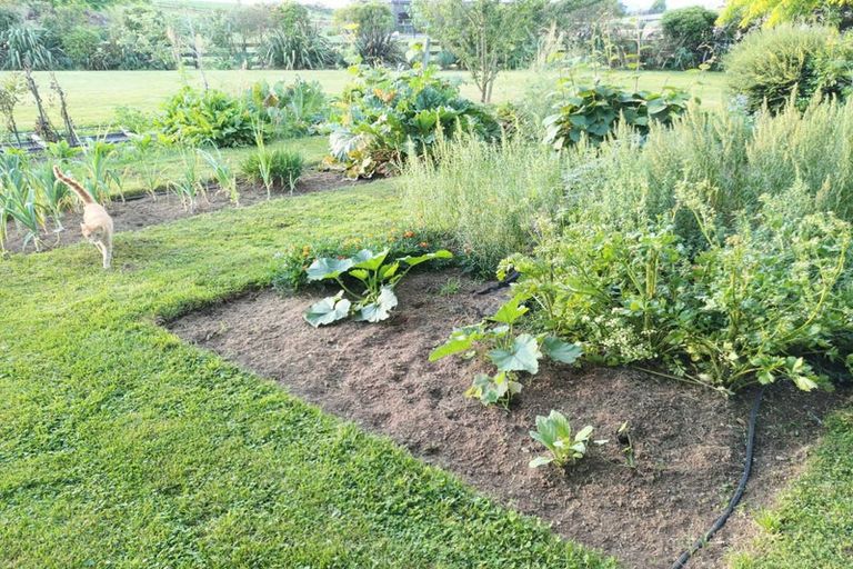 Photo of property in 140 Arapuni Lake Road, Wharepapa South, Pukeatua, 3880