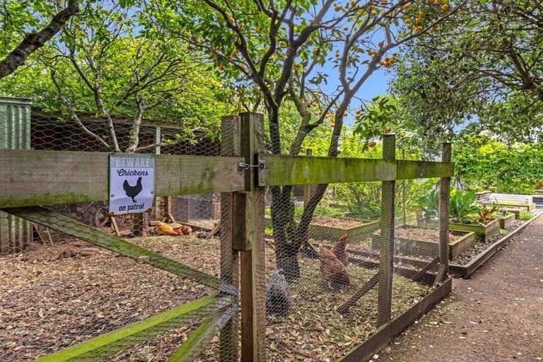 Photo of property in 17 Godwin Crescent, College Estate, Whanganui, 4500