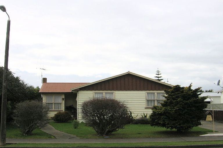 Photo of property in 6 Collingwood Street, Levin, 5510