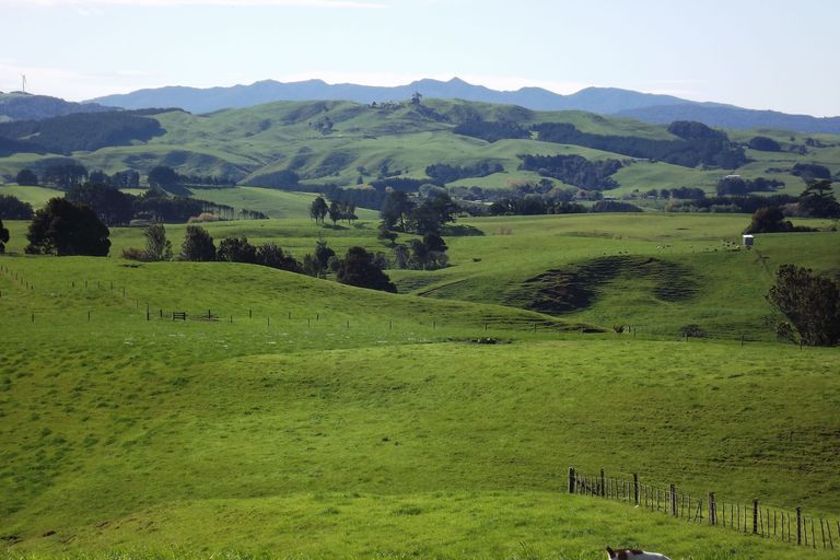 Photo of property in 669b Te Hutewai Road, Raglan, 3296