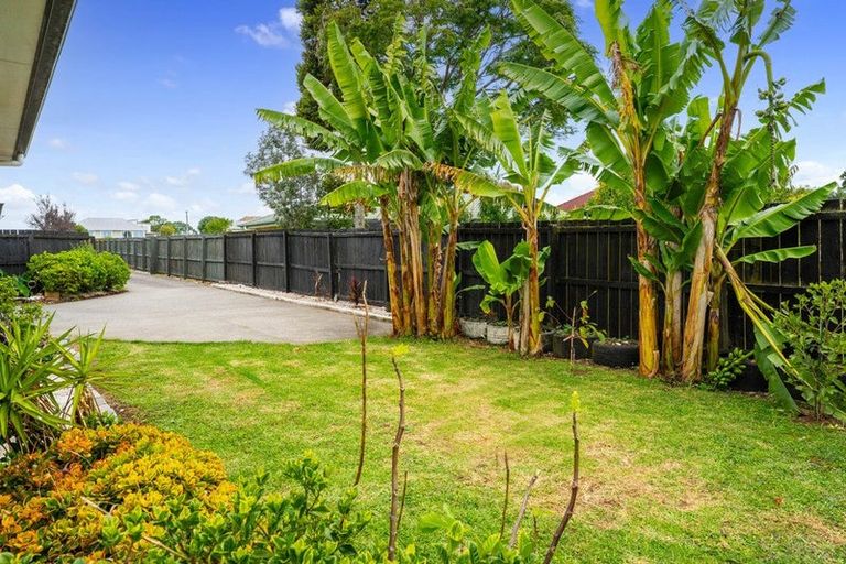 Photo of property in 14e Church Street, Tuakau, 2121