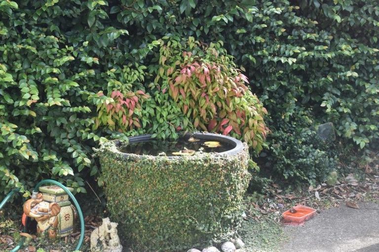 Photo of property in 75 Victoria Street, Carterton, 5713