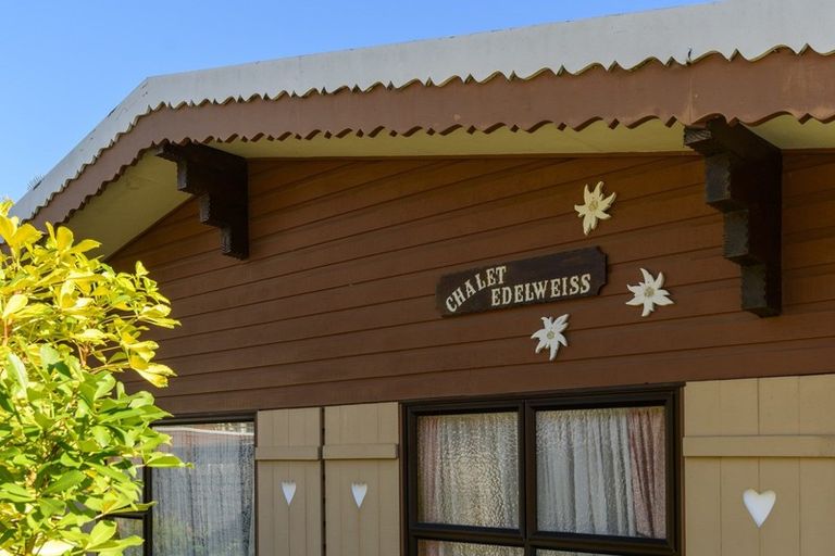 Photo of property in 47a Brookfield Terrace, Brookfield, Tauranga, 3110