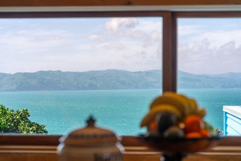 Photo of property in 101 Te Anau Road, Hataitai, Wellington, 6021