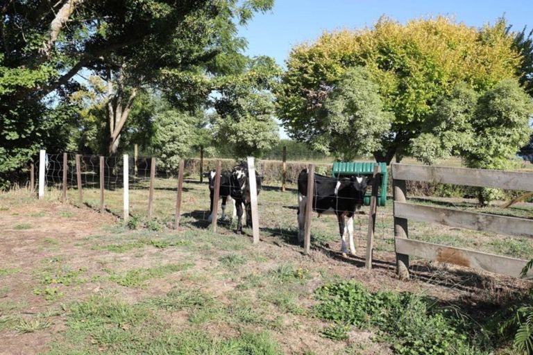 Photo of property in 151 Seddon Road, Waitoa, Te Aroha, 3393