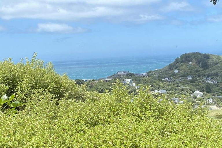 Photo of property in 43 Houghton Bay Road, Houghton Bay, Wellington, 6023