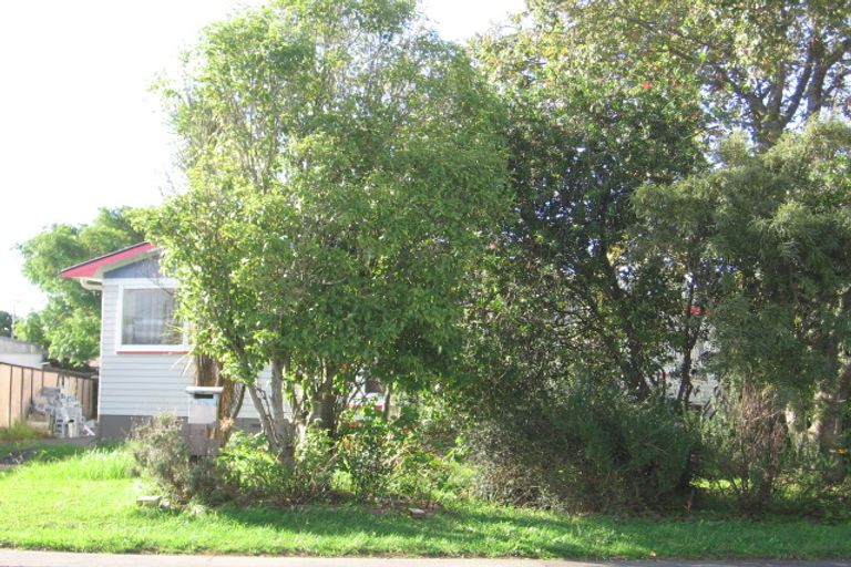Photo of property in 38 Larnoch Road, Henderson, Auckland, 0610