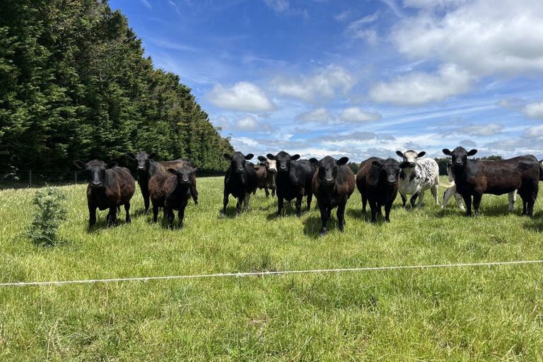 Photo of property in 622 Wakarara Road, Ongaonga, 4279