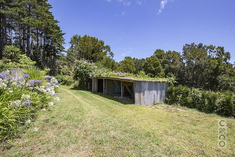 Photo of property in 306 Taiapa Road, Muriwai, 0881