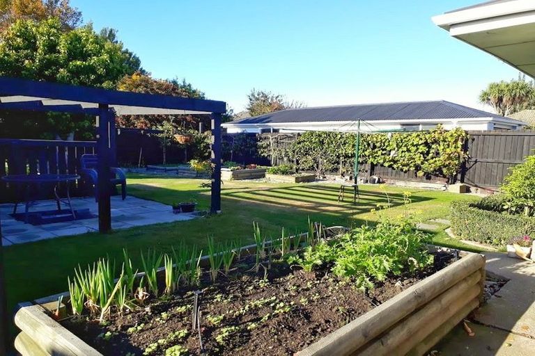 Photo of property in 17 Springbank Street, Bryndwr, Christchurch, 8053