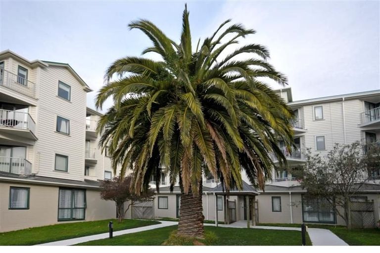 Photo of property in Palm Grove Apartments, 9/13a Palm Grove, Berhampore, Wellington, 6023